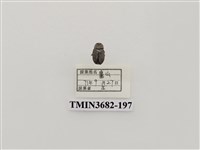 藏品(鞘翅目(2))的圖片